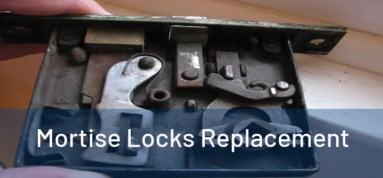  Mortise Locks Replacement 